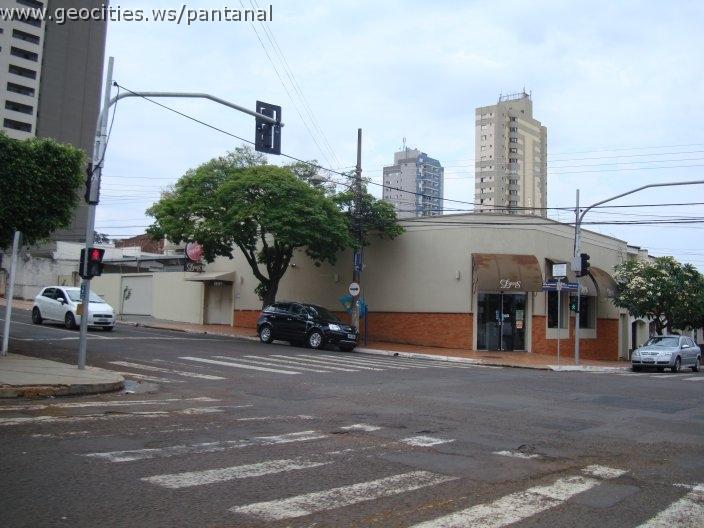 1258_geocities_ws_pantanal.jpg