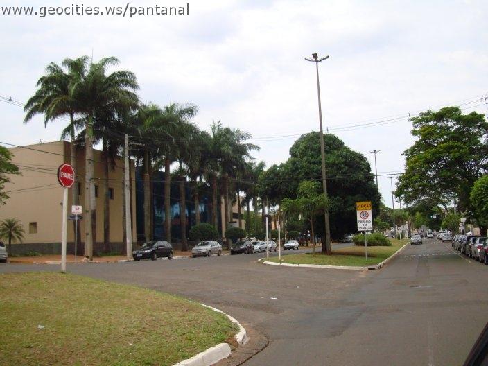 1266_geocities_ws_pantanal.jpg