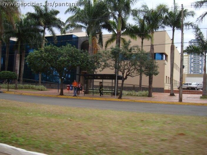 1268_geocities_ws_pantanal.jpg