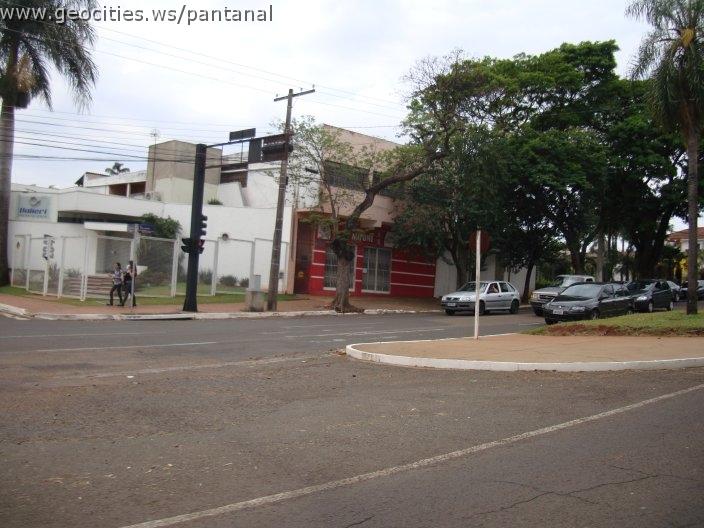 1273_geocities_ws_pantanal.jpg