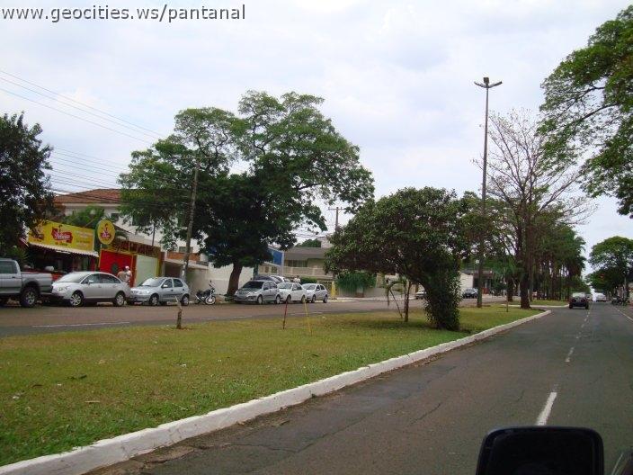 1274_geocities_ws_pantanal.jpg