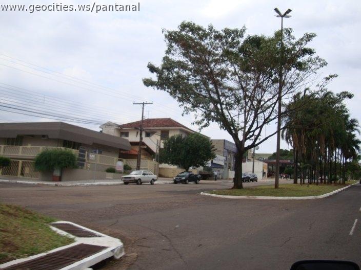 1275_geocities_ws_pantanal.jpg