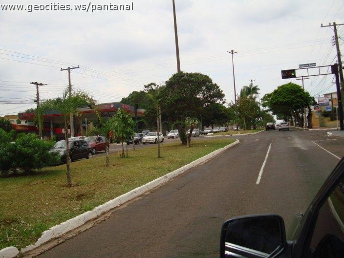 1276_geocities_ws_pantanal.jpg