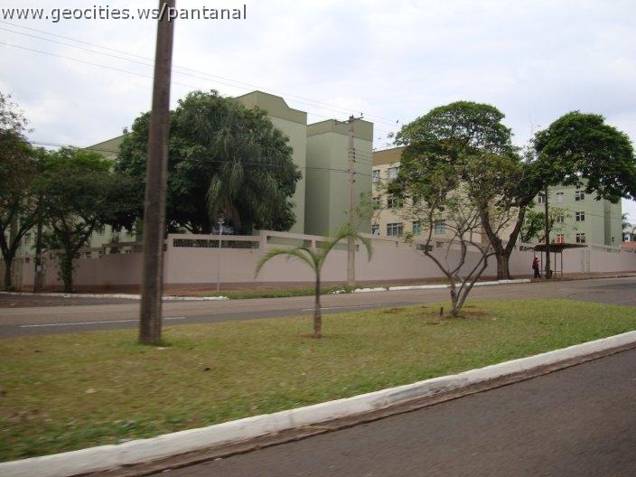 1278_geocities_ws_pantanal.jpg
