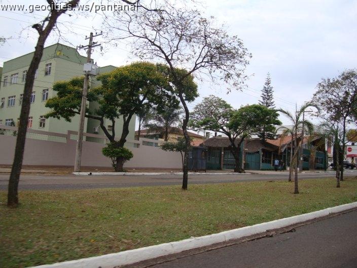 1279_geocities_ws_pantanal.jpg