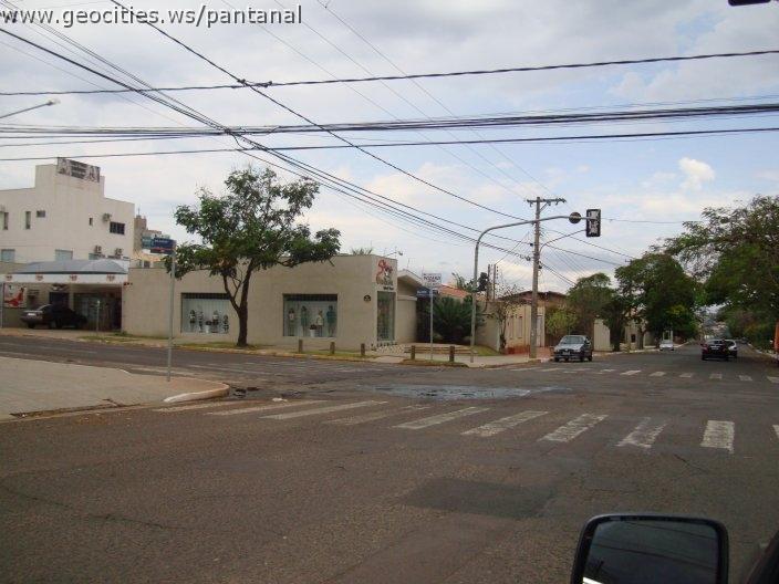 1286_geocities_ws_pantanal.jpg