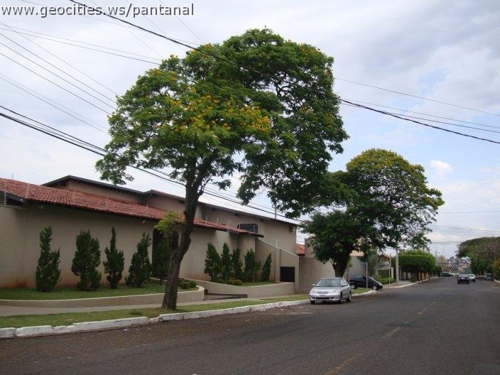 1287_geocities_ws_pantanal.jpg
