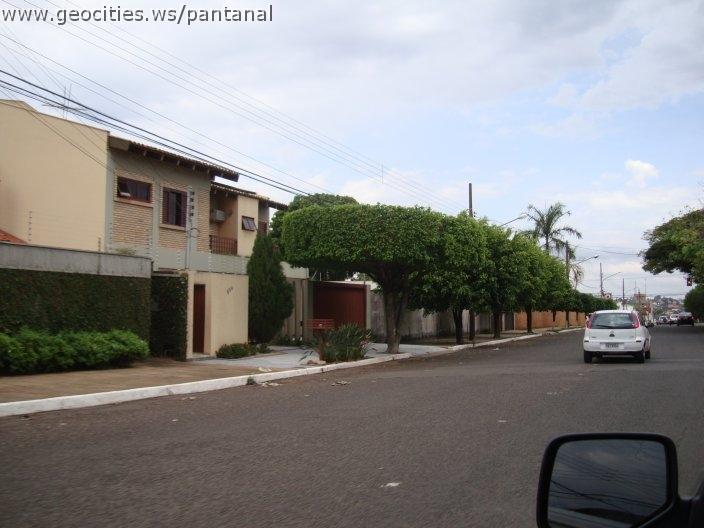 1288_geocities_ws_pantanal.jpg