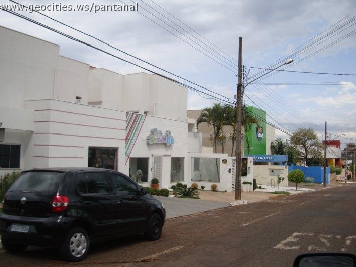 1294_geocities_ws_pantanal.jpg