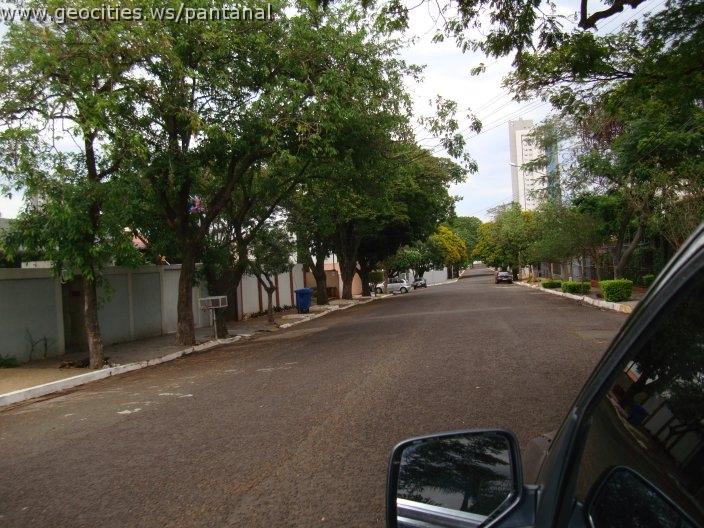 1306_geocities_ws_pantanal.jpg