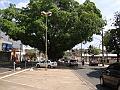 1166_geocities_ws_pantanal
