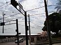 1176_geocities_ws_pantanal
