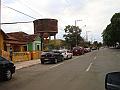 1195_geocities_ws_pantanal