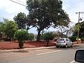 1205_geocities_ws_pantanal