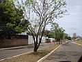 1212_geocities_ws_pantanal