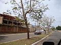 1213_geocities_ws_pantanal