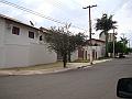 1219_geocities_ws_pantanal