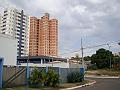 1224_geocities_ws_pantanal