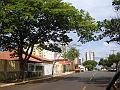 1237_geocities_ws_pantanal