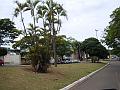 1265_geocities_ws_pantanal
