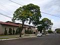 1287_geocities_ws_pantanal