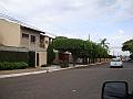 1288_geocities_ws_pantanal