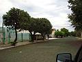 1302_geocities_ws_pantanal