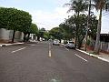 1305_geocities_ws_pantanal
