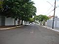1309_geocities_ws_pantanal