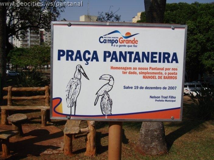 1468_geocities_ws_pantanal.jpg