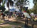 1486_geocities_ws_pantanal