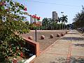 1511_geocities_ws_pantanal