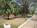 1527_geocities_ws_pantanal