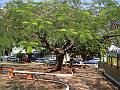 1572_geocities_ws_pantanal