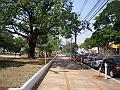 1574_geocities_ws_pantanal