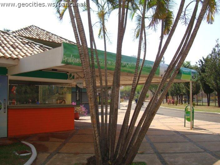 1643_geocities_ws_pantanal.jpg