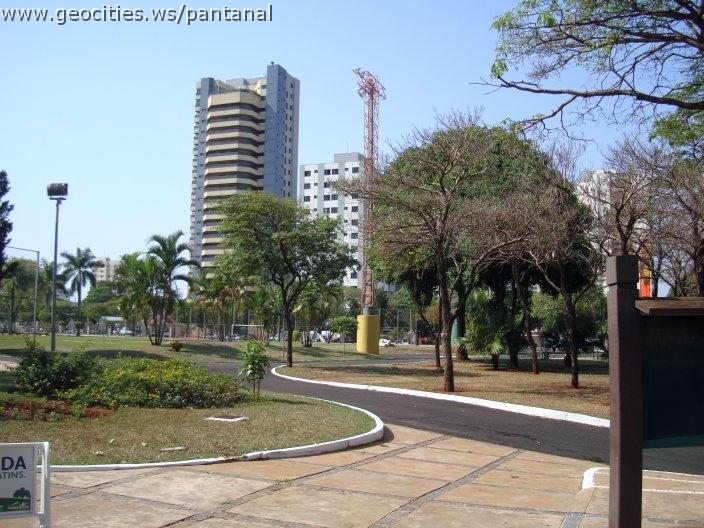 1646_geocities_ws_pantanal.jpg