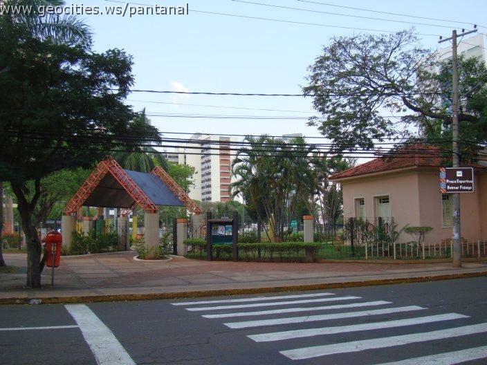 1653_geocities_ws_pantanal.jpg