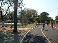 1595_geocities_ws_pantanal