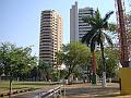 1599_geocities_ws_pantanal