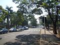 1633_geocities_ws_pantanal