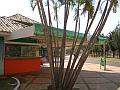 1643_geocities_ws_pantanal