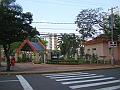 1653_geocities_ws_pantanal
