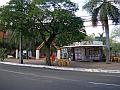 1655_geocities_ws_pantanal