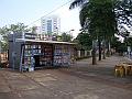 1657_geocities_ws_pantanal