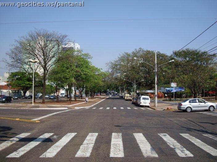 1664_geocities_ws_pantanal.jpg