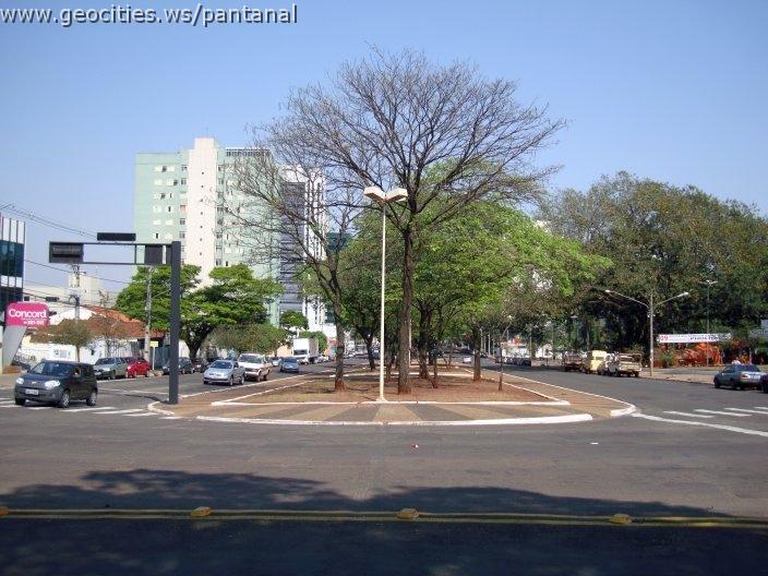 1665_geocities_ws_pantanal.jpg