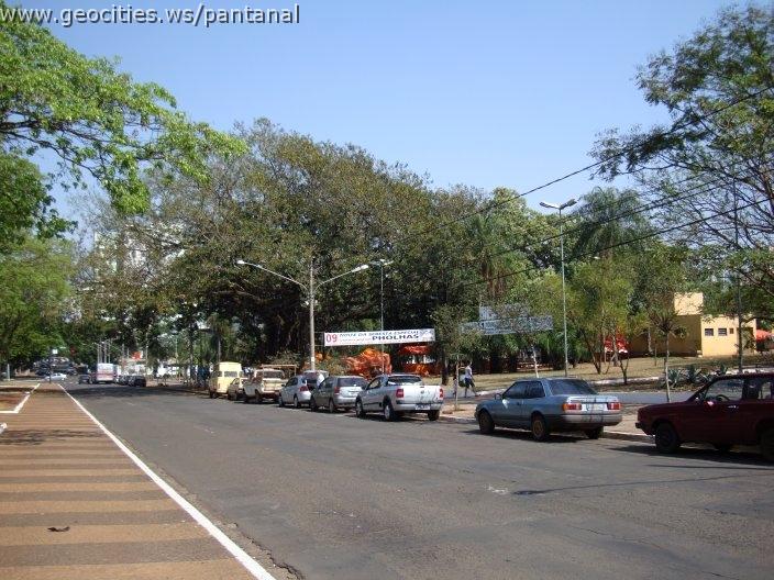 1671_geocities_ws_pantanal.jpg