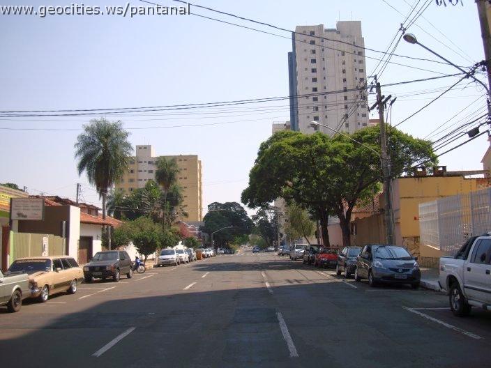 1682_geocities_ws_pantanal.jpg
