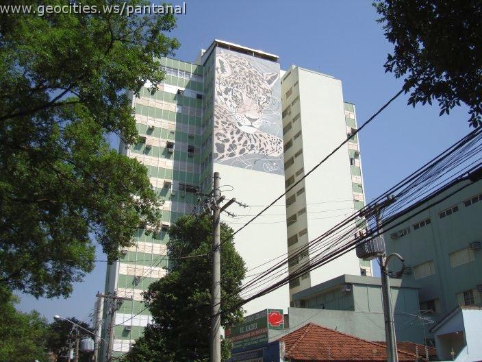 1697_geocities_ws_pantanal.jpg